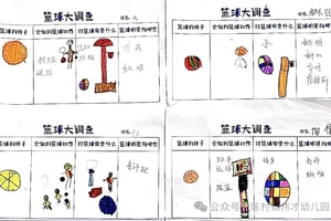  儿童篮球玩家的成长指南与训练要点